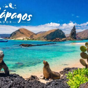 ISLAS ENCATADAS A TU ALCANCE